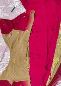 Elegant red beige Embroidered Saree