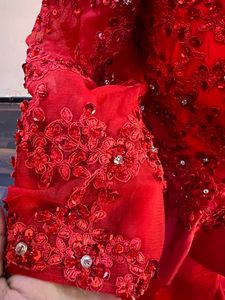 Red Embellished Trail Gown