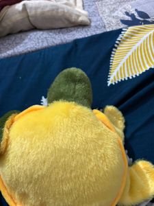 Cute Plush Turtle