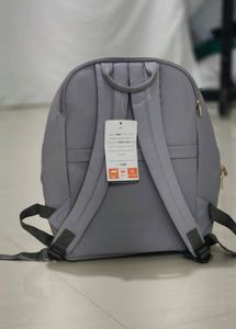 Baggit L Greedy purple solid laptop backpack