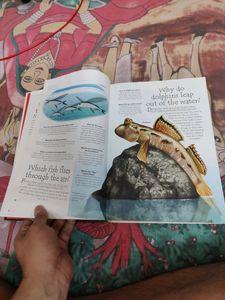 Encyclopedia Of The Natural World