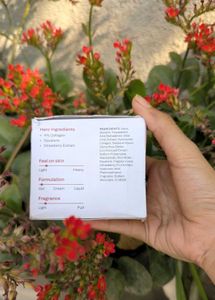 Molten Beauty Jelly Firm Moisturizer