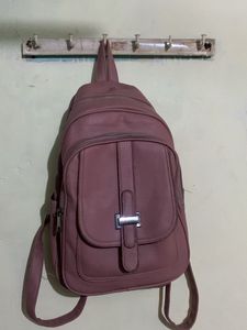 Chic Dusty Rose Backpack
