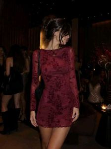 Maroon Floral Velvet Mini Dress