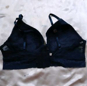 thalia sodi Navy Blue Bra