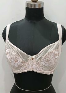 Elegant Lace Trimmed Bra 36DD