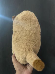 a brown cartoon otter holding tiny yellow fis