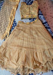 Beautiful Net Lehenga