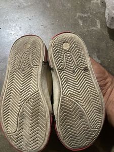 Cute Canvas Sneakers