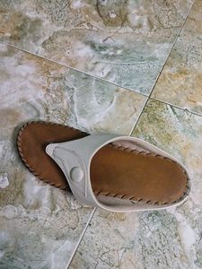 Slipper Sponge