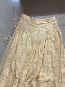 Elegant Ethnic Skirt