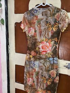 Sheer Butterfly &amp; Floral Print Dress