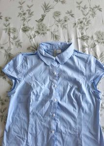 Classic Blue Striped Short Sleeve Shirt