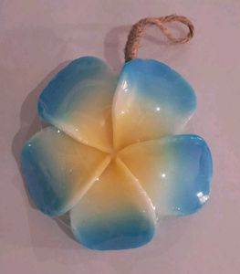 Most Beautiful Floral Soaps Imported buy