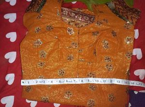 Elegant Embellished Saree