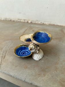 Shell Jewelry Organizer
