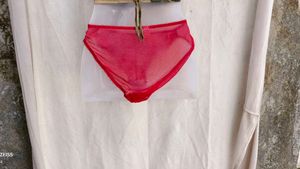 I. Red Lace Bikini Briefs