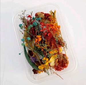 Dry Flower Box