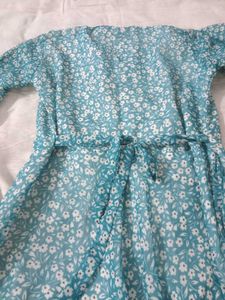 Floral Print Sheer Mini Dress