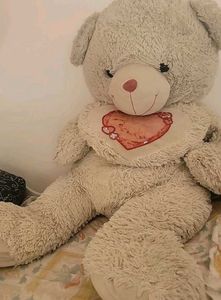 Giant Teddy Bear