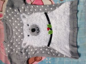 Cute Furry Dog Sweater Swap Possible