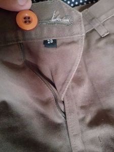 Men's Casual brown Pants