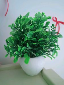 Mini Green Artificial Plant