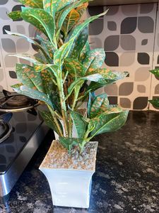 Artificial Plants
