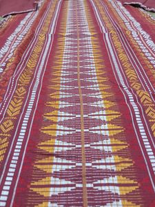 New Aurelia Cotton Kurti