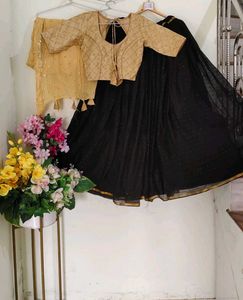 Designer Lehenga Choli Set