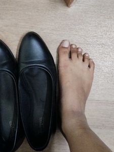 Black Bellies