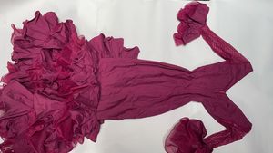 Stunning Ruffled Ethnic Gown