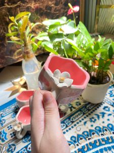 4 Cup set