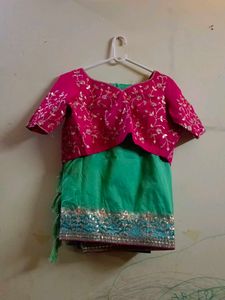 Embroidered Pink Blouse with Green Saree