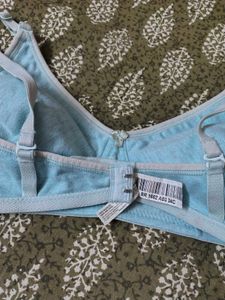 Light Blue Everyday clovia bra