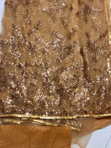 sequin beautiful saree newly colout