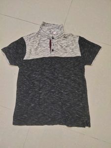 Imported Collared Summer T Shirt