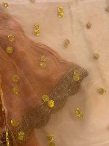 Peach Ethnic Gown with Gold Print