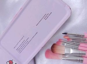 hello kitty  Makeup brush