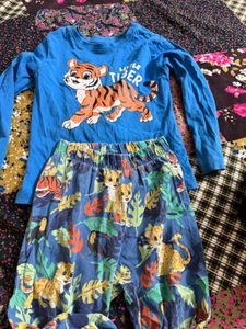 Cute Blue Tiger Print Pajama Set