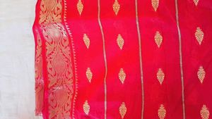 Vibrant Red Saree with Golden Border