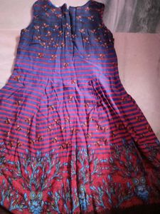 Stylish Blue &amp; Red Printed Dress