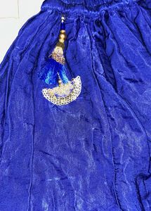 Royal Blue Velvet Lehenga Choli