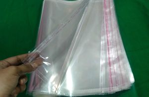 10 Pcs Clear Resealable Packing Bags