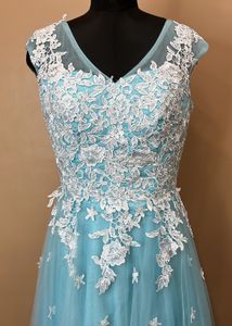 Light Blue Lace Tulle Gown