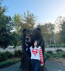 Superman Sweater