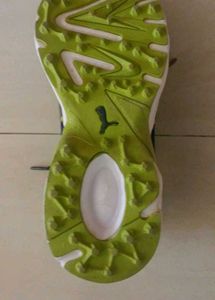 ❤️ONLY 2DAYS FLAT Rs.1800🌀UK6 Puma Running Shoe
