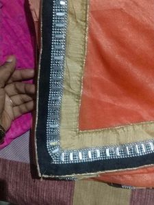 Orange Saree with Embellished Border