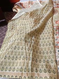 multi colour Jerry saree digital print