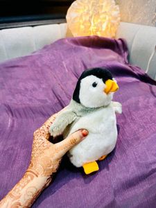 Cute Penguin Plush Toy